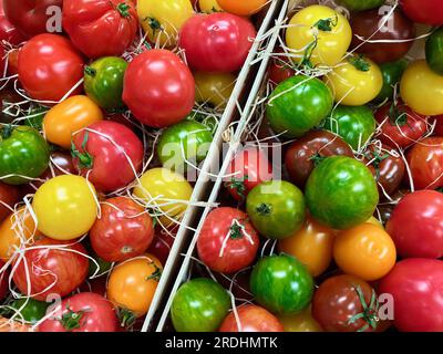 Tomates fraîches de culture biologique de différentes couleurs et saveurs posées dans des boîtes en bois à vendre au marché des agriculteurs. Banque D'Images