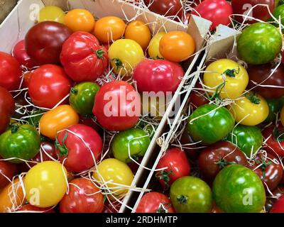 Tomates fraîches de culture biologique de différentes couleurs et saveurs posées dans des boîtes en bois à vendre au marché des agriculteurs. Banque D'Images