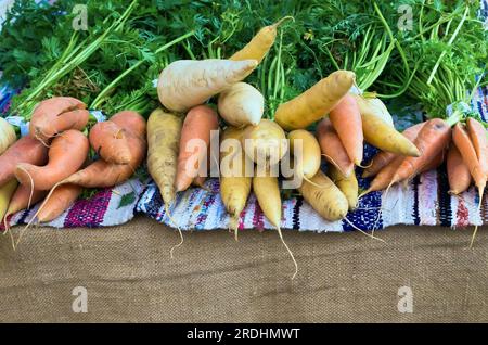Légumes-racines à vendre au marché des agriculteurs. Banque D'Images