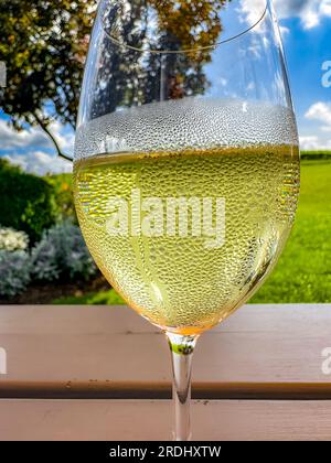 Gros plan d'un verre à vin avec de la condensation sur elle dans un cadre extérieur. Banque D'Images