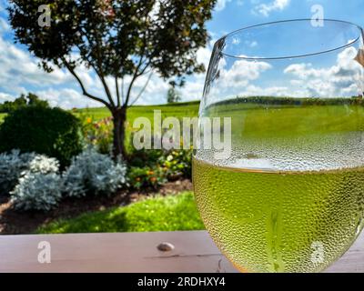 Gros plan d'un verre à vin avec de la condensation sur elle dans un cadre extérieur. Banque D'Images