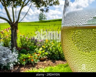 Gros plan d'un verre à vin avec de la condensation sur elle dans un cadre extérieur. Banque D'Images