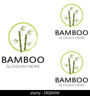 Logo d'une plante de bambou ou d'un type de plante creuse. Utilisation d'une conception de concept vectoriel moderne Illustration de Vecteur