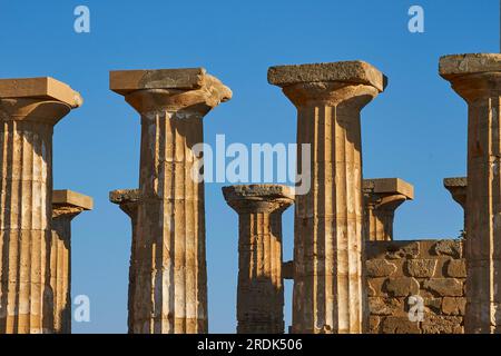 Détail, rangée de colonnes, Selinonte, site archéologique, Temple, Sud-Ouest de la Sicile, Sicile, Italie Banque D'Images