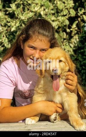 Fille avec Hovawart, chiot Banque D'Images