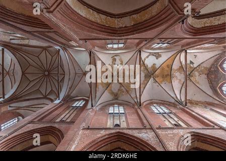 Plafond voûté de St. George Church, brique gothique, Wismar, Mecklembourg-Poméranie occidentale Banque D'Images