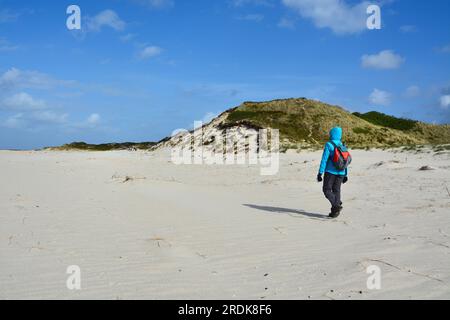 Marcher sur la plage naar Hörnum, Sylt, îles frisonnes, mer des Wadden, Allemagne Banque D'Images