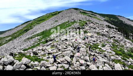 Xi'an. 21 juillet 2023. Cette photo aérienne prise le 21 juillet 2023 montre des visiteurs grimpant au sommet du parc forestier national de Zhuque à Xi'an, dans la province du Shaanxi, au nord-ouest de la Chine. Le parc, situé dans le cours supérieur de la rivière Laohe est et dans le nord des montagnes Qinling, couvre une superficie de 2 621 hectares, et son point culminant Bingjing pic a une altitude de 3 015 mètres. Des paysages étonnants tels que la forêt vierge, les restes de glaciers et la mer de nuages peuvent être vus le long de la route vers le sommet. Crédit : Liu Xiao/Xinhua/Alamy Live News Banque D'Images