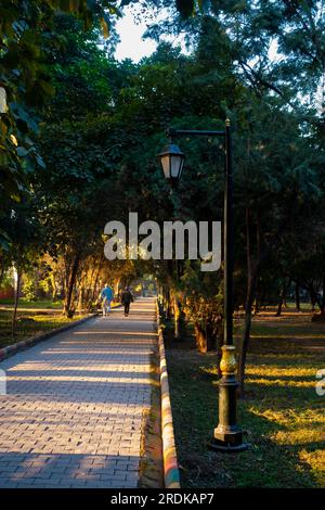 28 juin 2023, Uttarakhand, Inde. Matin tourné dans un jardin avec des gens sur une promenade avec des arbres et des plantes le long d'une voie de marche avec un lampadaire. Banque D'Images