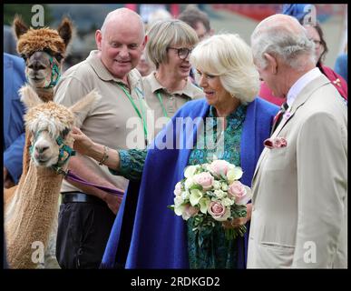 Brecon, Royaume-Uni. 20 juillet 2023. Image © Licence à Parsons Media. 20/07/2023. Brecon, Royaume-Uni. Le Roi et la Reine visitent Brecon au pays de Galles. Leurs Majestés le Roi et la Reine rencontrent les membres de la communauté locale et célèbrent le bénévolat local et le secteur du service public au salon annuel de la Brecknock Agricultural Society près du Theatr Brycheiniog à Brecon photo par crédit : andrew parsons/Alamy Live News Banque D'Images