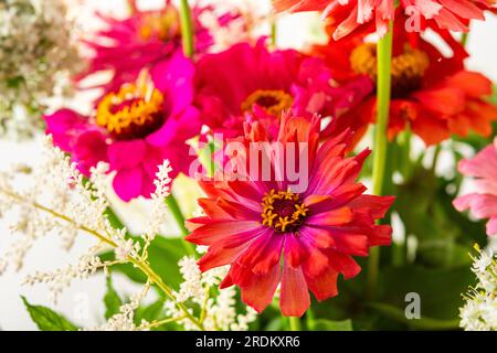 Bouquet d'été de Zinnia colorée, inflorescences d'oignon et brins de menthe, bouquet de fleurs sur la table près du mur, décoration de la maison avec des fleurs Banque D'Images