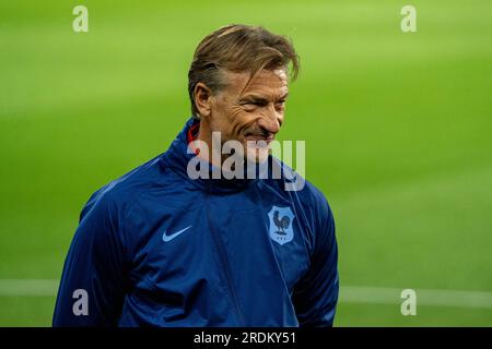 Sydney, Australie. 22 juillet 2023. Sydney, Australie, le 22 juillet 2023 : entraîneur-chef de la France Hervé Renard lors de la coupe du monde féminine 2023 de la FIFA MD-1 entraînement officiel et conférence de presse pour la France au Jubilee Stadium et au Sydney football Stadium à Sydney, Australie. (NOE lamas/SPP) crédit : SPP Sport Press photo. /Alamy Live News Banque D'Images