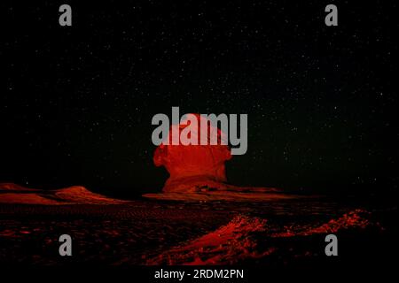 Une vue nocturne du désert blanc en Egypte de l'érosion des volcans et une montagne de quartz, aux roches altérées et aux formations rocheuses de craie blanche, Black and White Desert fait partie de la dépression de Frarafra dans le désert du Sahara et se situe dans la partie occidentale de l'Egypte. Le vaste désert est relié aux routes principales qui sont proches de la frontière libyo-égyptienne où il est maintenant lourdement armé avec une présence militaire. Le paysage naturel bizarre qui s'élève d'un fond océanique il y a des millions d'années est maintenant laissé avec des formations karstiques calcaires qui ressemblent à la surface d'autres planètes de l'univers. Banque D'Images