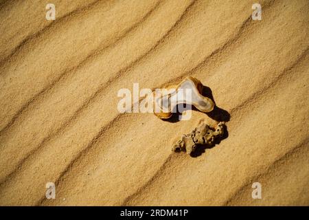 13 avril 2023, QSAR El Farafra, Egypte : deux pierres climatiques vues sur le sable du désert blanc en Egypte. De l'érosion des volcans et d'une montagne de quartz, aux roches altérées et aux formations rocheuses de craie blanche, Black and White Desert fait partie de la dépression de Frarafra dans le désert du Sahara et se situe dans la partie occidentale de l'Égypte. Le vaste désert est relié aux routes principales qui sont proches de la frontière libyo-égyptienne où il est maintenant lourdement armé avec une présence militaire. Le paysage naturel bizarre qui s'élève d'un fond océanique il y a des millions d'années est maintenant laissé avec des formations karstiques calcaires qui ressemblent à t Banque D'Images