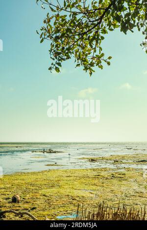 Seascape avec ciel bleu et mer verte. Arrière-plan de la nature. Banque D'Images