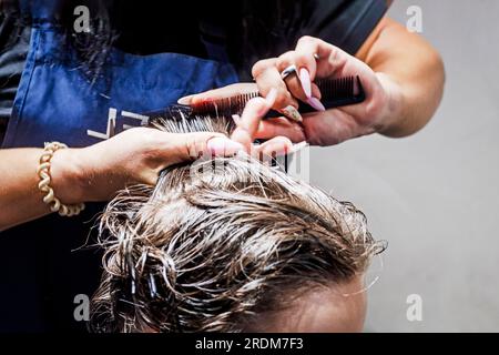 femme barbeshoper coupe le haut de sa tête sur les cheveux mouillés sous un peigne. Classe de maître de coupe de cheveux Banque D'Images