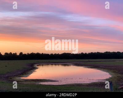 Dorney, Buckinghamshire, Royaume-Uni. 9 juillet 2023. Le soleil se couche sur un nouveau lac d'eau de crue est apparu sur Dorney Common. Thames Water est autorisé à décharger l'excès d'eau de pluie dans Roundmoor Ditch à proximité et les habitants vivant dans le village d'Eton Wick avec des propriétés qui retournent sur Roundmoor Ditch se plaignent d'une puanteur d'eaux usées de l'eau. Crédit : Maureen McLean/Alamy Banque D'Images