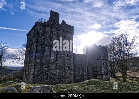 Le château de Carnasserie (également orthographié Carnassarie) est une tour en ruine du 16e siècle près de Kilmartin, Argyll, en Écosse Banque D'Images