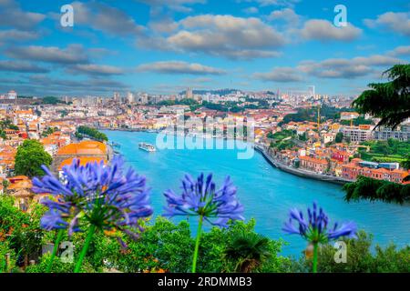 Vue panoramique de dessus de la célèbre rivière Douro, maisons traditionnelles et l'horizon de Porto City, au Portugal Banque D'Images