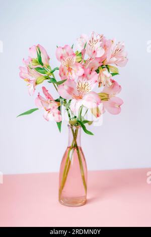 Vase avec fleurs alstroemeria sur table rose contre mur blanc. Nature morte. Banque D'Images