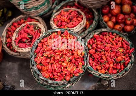 Poivre et tomate exposés à la vente sur un marché à Oyo, le mercredi 21 juillet 2023. La fin de la subvention aux carburants fait pression sur les Nigérians Banque D'Images