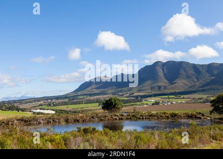 Vue sur les vignobles et les fermes viticoles dans la vallée de Hemel-en-Aarde, Hermanus, Overberg, Western Cape Winelands, Afrique du Sud en hiver Banque D'Images