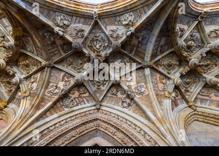 Plafond gothique tardif dans le cloître de la cathédrale de Léon, Castille-Léon, Espagne. La cathédrale Santa María de Regla de Leon. Castilla León, Espagne. Banque D'Images