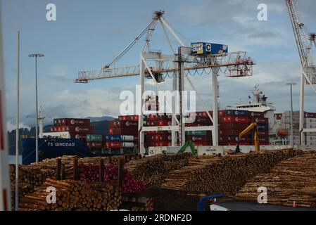 WELLINGTON, NOUVELLE-ZÉLANDE, 16 MAI 2023:le navire à conteneurs TS Qingdao est déchargé au port de Wellington Banque D'Images