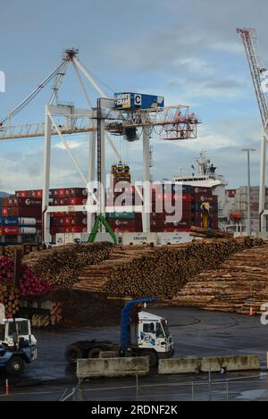 WELLINGTON, NOUVELLE-ZÉLANDE, 16 MAI 2023:le navire à conteneurs TS Qingdao est déchargé au port de Wellington Banque D'Images