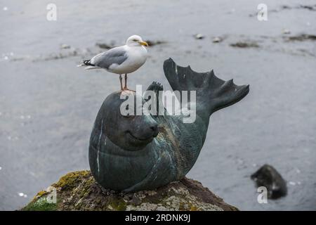 Statue en bronze d'un sceau de dessin animé souriant sur un rocher couvert de lichens dans le port de North Berwick avec une goéland hareng perchée sur sa tête regardant de côté Banque D'Images