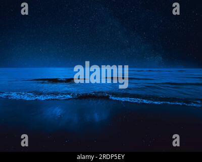 Vagues de mer roulant sur la plage de sable sous le ciel étoilé la nuit Banque D'Images