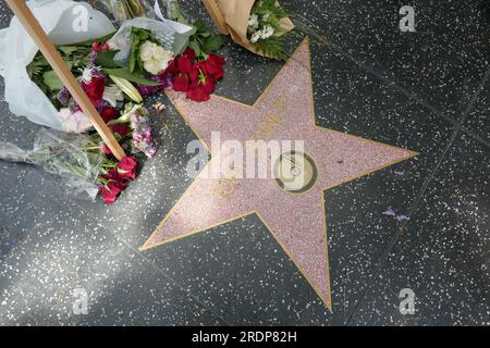 Hollywood, Californie, USA 22 juillet 2023 fleurs sur le chanteur Tony BennettÕs Hollywood Walk of Fame Star le 22 juillet 2023 à Hollywood, Californie, USA. Photo de Barry King/Alamy Live News Banque D'Images