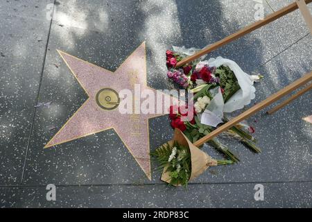 Hollywood, Californie, USA 22 juillet 2023 fleurs sur le chanteur Tony BennettÕs Hollywood Walk of Fame Star le 22 juillet 2023 à Hollywood, Californie, USA. Photo de Barry King/Alamy Live News Banque D'Images