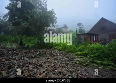 Srinagar, Inde. 22 juillet 2023. Les habitants non représentés inspectent les dommages causés aux cultures après un nuage à la périphérie de Srinagar, dans le Cachemire contrôlé par les Indiens, samedi 22 juillet 2023. Des crues soudaines et des nuages dans le Cachemire indien ont endommagé les cultures et coupé les routes. Aucune victime n ' a été signalée. (Photo de Mubashir Hassan/Pacific Press) crédit : Pacific Press Media production Corp./Alamy Live News Banque D'Images