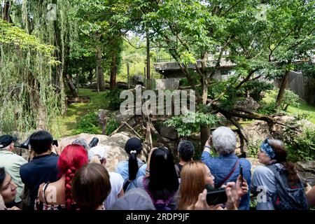 (230723) -- WASHINGTON, D.C., 23 juillet 2023 (Xinhua) -- les visiteurs regardent le panda géant Mei Xiang déguster un gâteau de glace au zoo national Smithsonian à Washington, D.C., États-Unis, le 22 juillet 2023. Le panda géant Mei Xiang a célébré son 25e anniversaire ici samedi. Le zoo a organisé une fête spéciale pour célébrer l'occasion avec ses fans. (Xinhua/Liu Jie) crédit : Liu Jie/Xinhua/Alamy Live News Banque D'Images