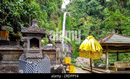 Git Git Waterfall beaux paysages, terrasses de riz beaucoup de nature. Belles photos de l'original Bali Banque D'Images