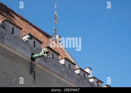 Hôtel de ville de Tallinn avec gouttière décorée de tête de gargouille de dragon sur l'hôtel de ville de Tallinn Banque D'Images