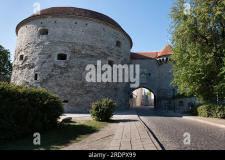 Vue sur la tour Fat Margaret et la Grande porte côtière dans le centre historique de Tallinn Banque D'Images