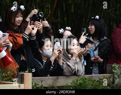 Chengdu, province chinoise du Sichuan. 22 mars 2023. Les touristes portant des bandeaux de panda prennent des photos à la base de recherche de Chengdu sur l'élevage de panda géants à Chengdu, dans la province du Sichuan, dans le sud-ouest de la Chine, le 22 mars 2023. Crédit : Xu Bingjie/Xinhua/Alamy Live News Banque D'Images