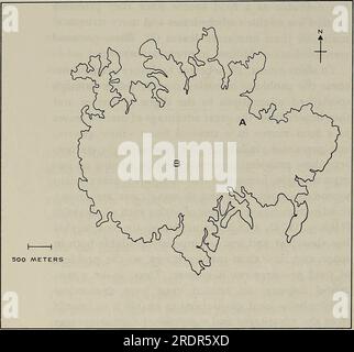 'L'écologie des folivores arboricoles : un symposium tenu au Centre de conservation et de recherche, National Zoological Park, Smithsonian institution, du 29 au 31 mai 1975' (1978) Banque D'Images