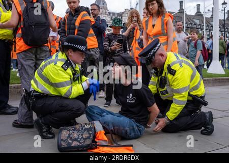 Des centaines de manifestants de l'OSJ bloquent des routes à Westminster, provoquant des retards de circulation. La police utilise les lois de la loi sur l ' ordre public pour expulser les manifestants. Banque D'Images