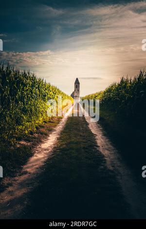 Église délabrée en hongrie cette ruine d'église est située sur le lac Balaton au milieu d'un champ de maïs les ruines appartiennent à une ancienne église orthodoxe Banque D'Images