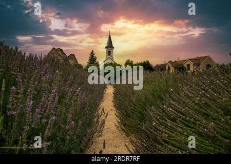 Ruines de l'église en Hongrie au milieu d'un Meisfeld. L'église se dresse sur le lac Balaton à Somogyvamos et a été photographiée dans la soirée à un romani Banque D'Images