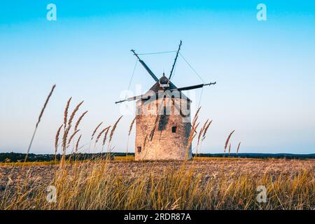 Moulin à vent au coucher du soleil avec des fleurs. Dans la soirée, ces moulins sont dans un grand paysage en Hongrie à tes am Balaton Banque D'Images