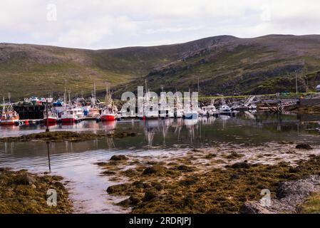 Village portuaire de Skarsvåg Nordkapp Municipalité dans le comté de Troms og Finnmark Norvège Europe sur la côte nord de l'île de Magerøya bateaux de pêche colorés Banque D'Images