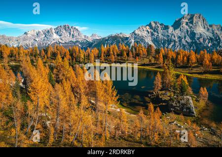 L'un des plus beaux et des plus visités lacs des Dolomites. Superbes mélèzes colorés sur le rivage du lac Federa, Italie, Europe Banque D'Images