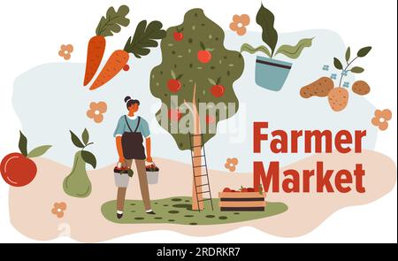 Produits écologiques et naturels sur le marché agricole. Femme récoltant et cueillant des pommes d'arbres, de pommes de terre et de carottes, de tomates et de poires. Préparation f Illustration de Vecteur