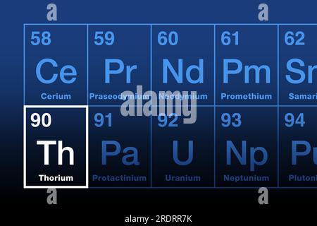 Thorium on periodic table of the elements, in the actinide series. Radioactive metallic element with atomic number 90, and with element symbol Th. Stock Photo