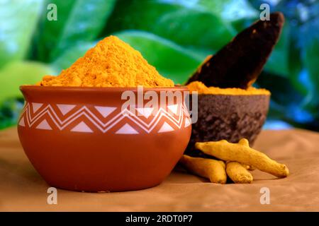 Poudre sèche de curcuma (curcuma longa linn) mortier de pierre, cuisine indienne traditionnelle Masala pour curry, antiseptique antiviral médecine ayurvédique. Banque D'Images