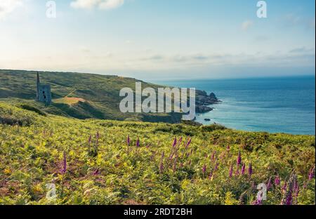 Sentier de la côte sud-ouest Helston Rinsey Cove avec ruine caractéristique de mine d'étain Banque D'Images